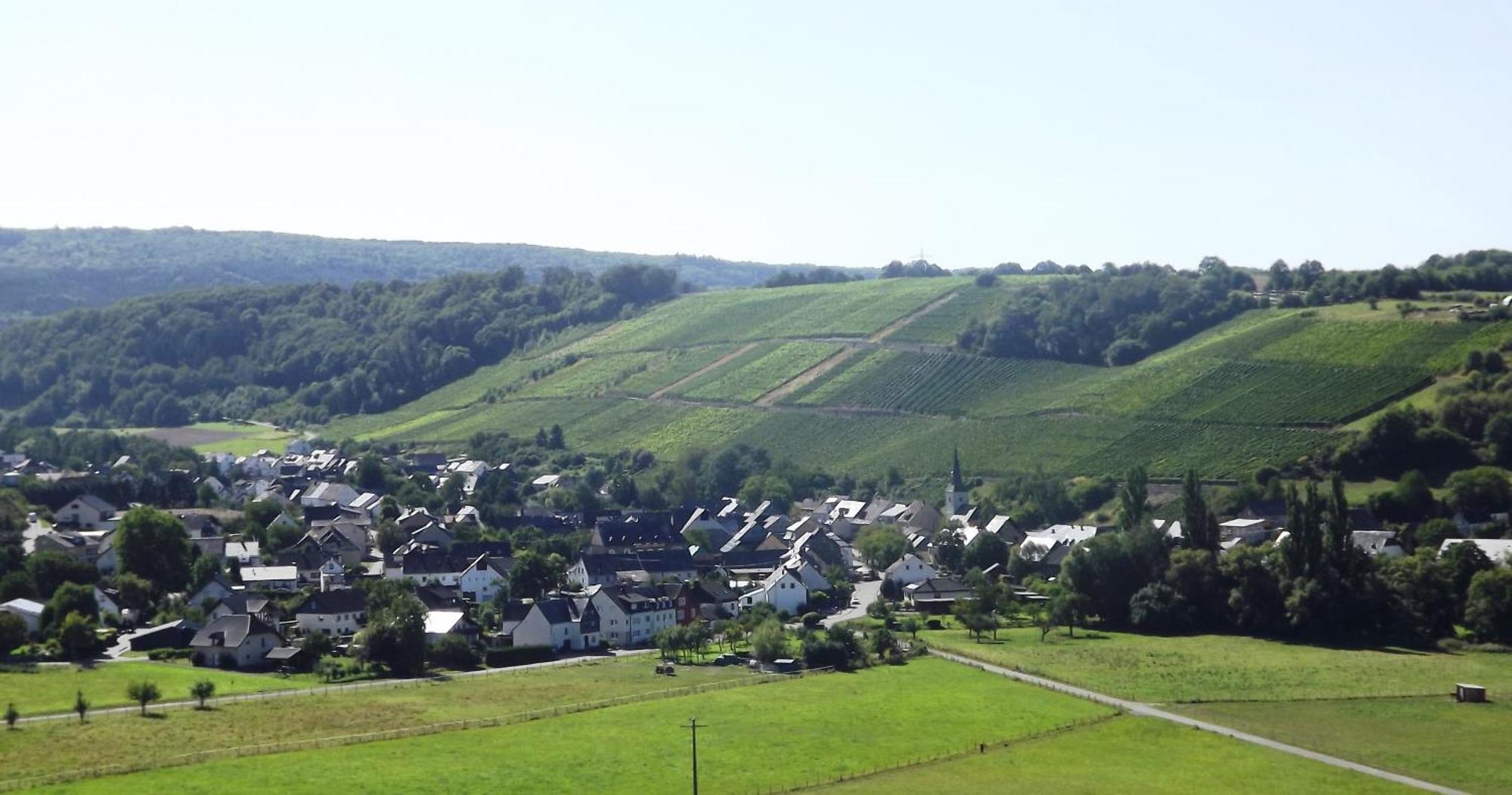 Ferienweingut & Gutsrestaurant Becker Apartment Burgen  Exterior foto